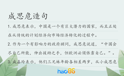 成思危造句