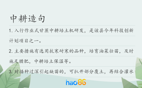 中耕造句