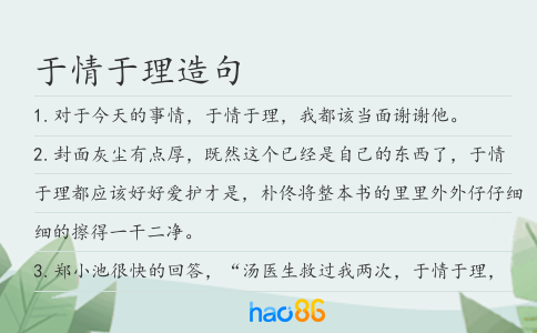 于情于理造句