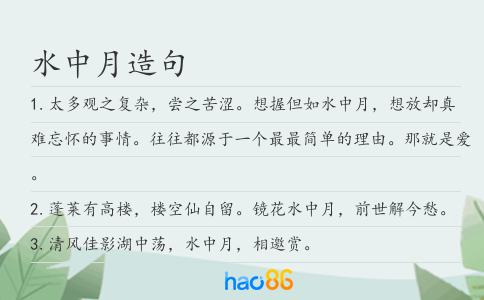 水中月造句