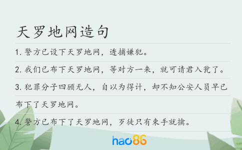 天罗地网造句