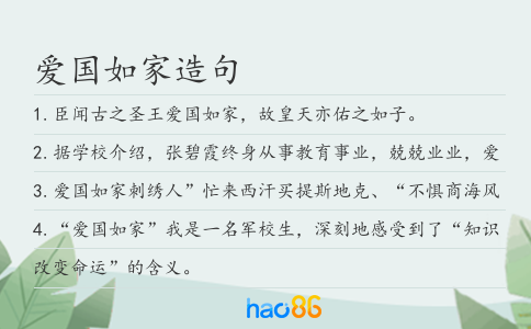 爱国如家造句
