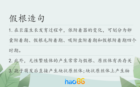假根造句