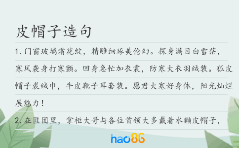 皮帽子造句