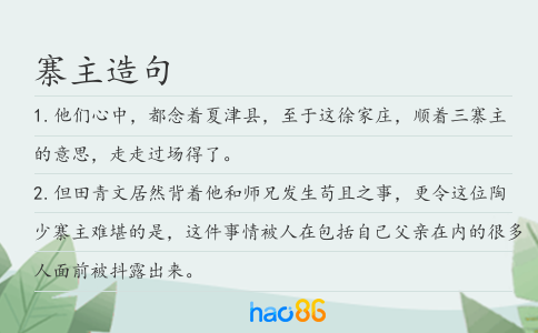 寨主造句