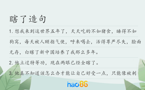 瞎了造句