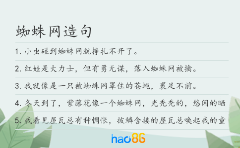 蜘蛛网造句