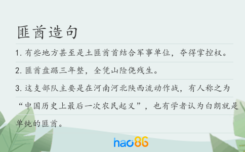 匪酋造句