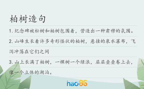 柏树造句
