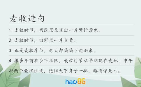 麦收造句