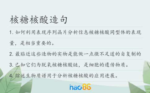 核糖核酸造句