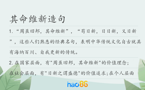 其命维新造句