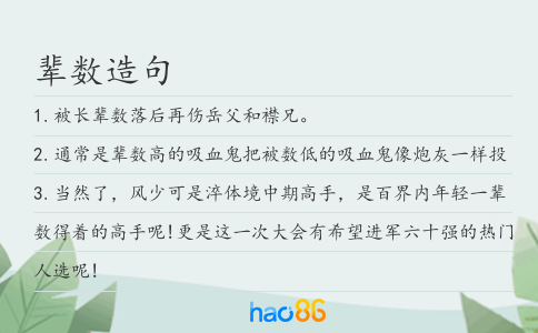 辈数造句