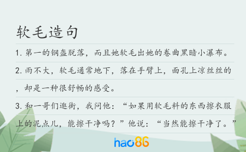 软毛造句