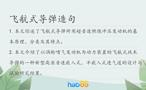 飞航式导弹造句