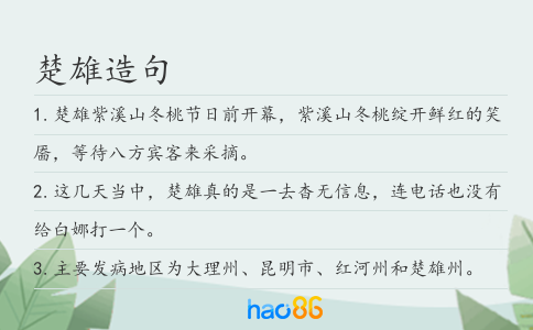 楚雄造句