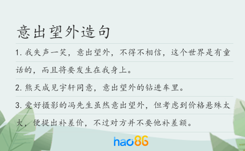 意出望外造句