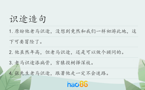 识途造句