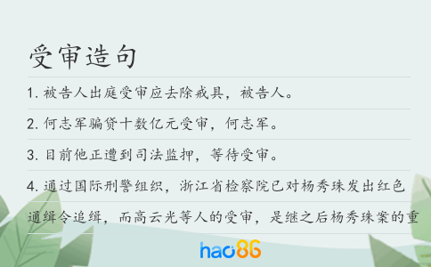 受审造句