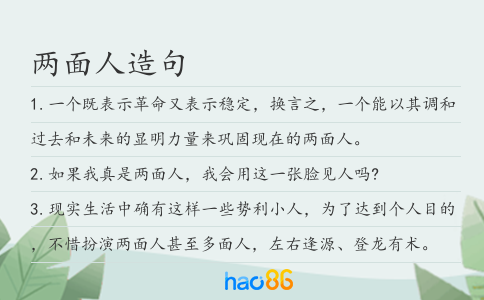 两面人造句