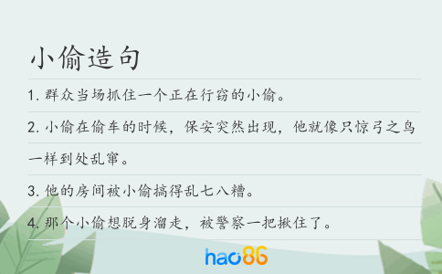 小偷造句