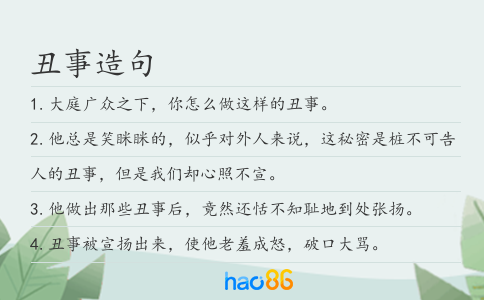 丑事造句