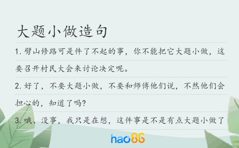 大题小做造句