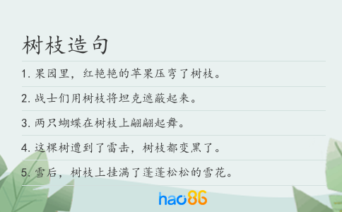 树枝造句