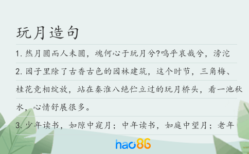 玩月造句
