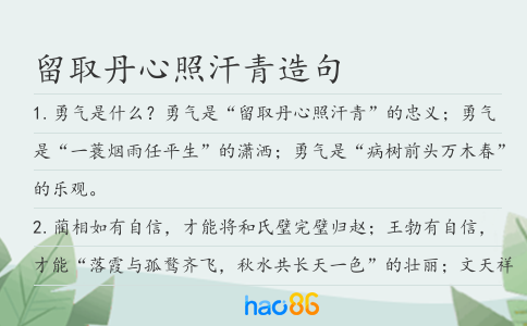 留取丹心照汗青造句