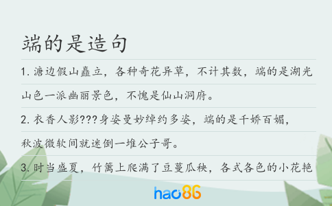 端的是造句