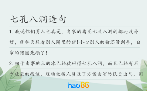 七孔八洞造句