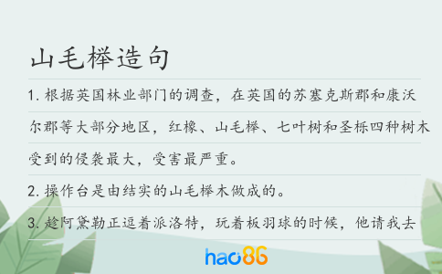 山毛榉造句