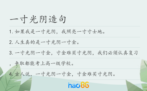 一寸光阴造句