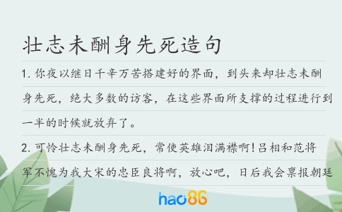壮志未酬身先死造句