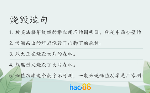烧毁造句