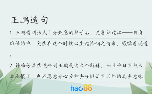 王鹏造句