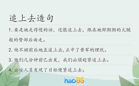 追上去造句