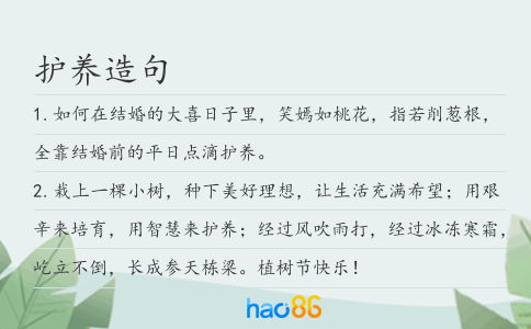 护养造句