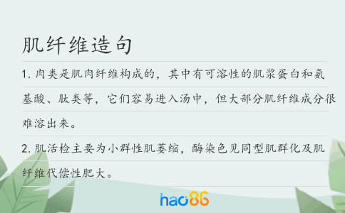 肌纤维造句