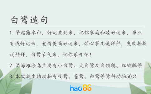 白鹭造句