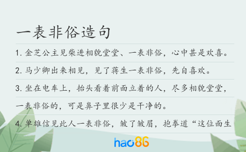 一表非俗造句