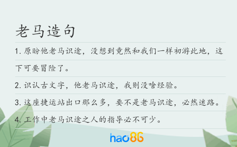 老马造句