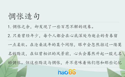 惆怅造句