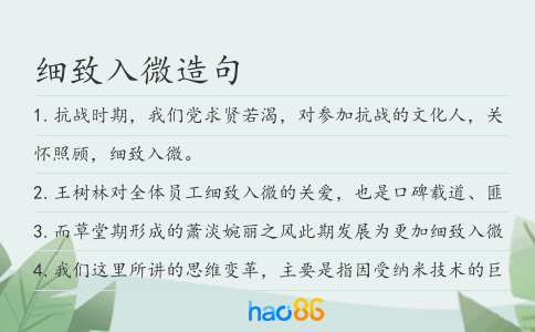 细致入微造句