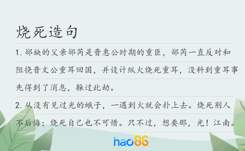 烧死造句