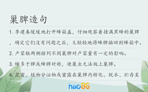 巢脾造句
