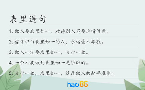 表里造句