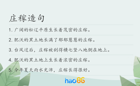 庄稼造句
