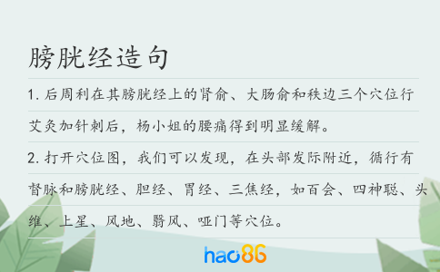 膀胱经造句